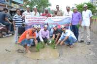 सड़क के गड्ढों में आप पार्टी के पदाधिकारियों ने रोपे पौधे, देखें इन तस्वीरों में