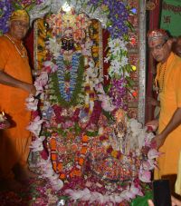 Alwar : lord jagannath wedding ceremony festival