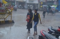 raining every day in Rewa, heat relief, sowing starts fast