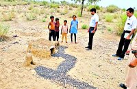 What did the children do that the collector gave the prize?