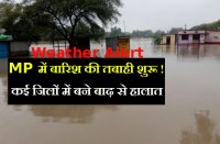 weather forecast of india