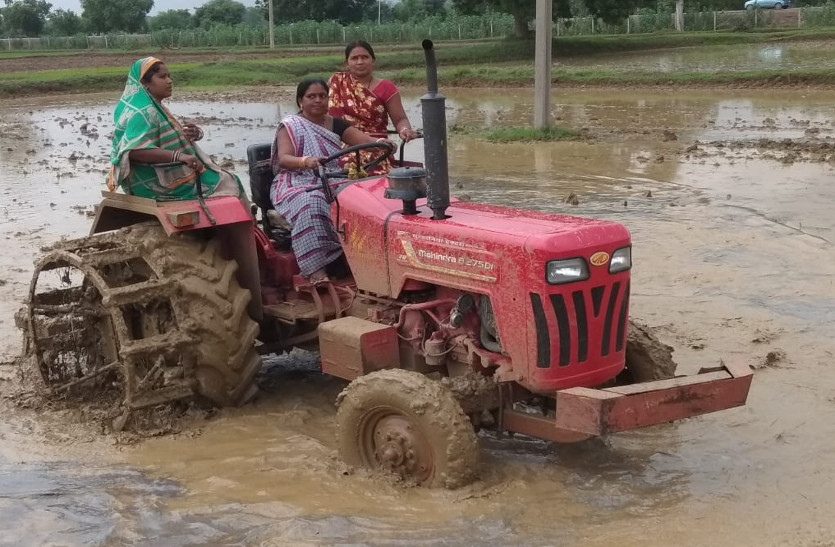 CG Human Story : गांव की बहू कृषि यंत्र चलाकर बनी लेडी किसान, ले रही अच्छी फसल, 15 फरवरी 2019 को रेडियो किसान दिवस पर होंगी सम्मानित