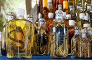chinese girl buys snake to make wine gets bitten and dies