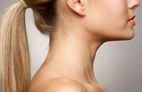 neck shape