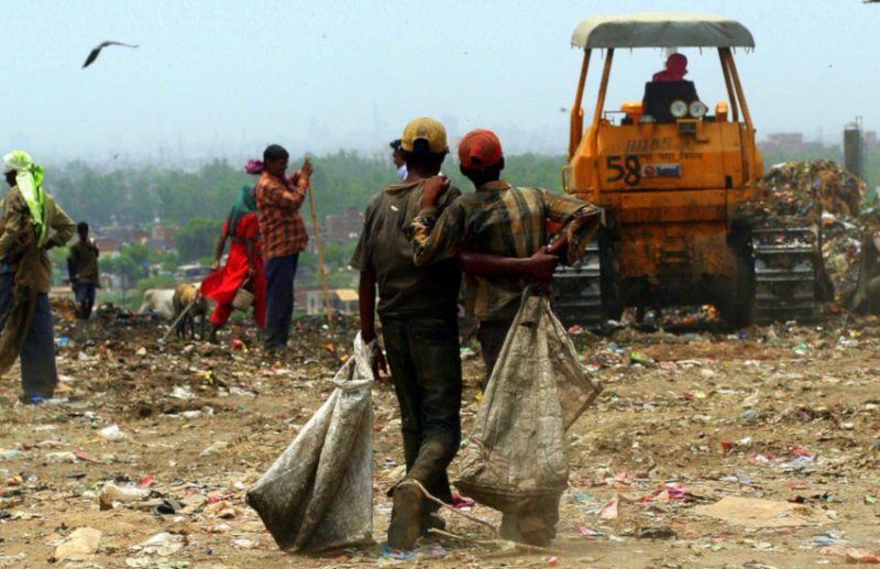 jobs in india,Govt Jobs,Sarkari Naukri,jobs in hindi,rozgar samachar,