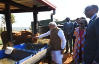 modi