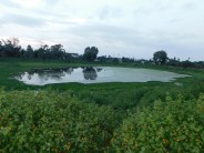 vadodra
