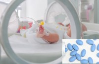 Eleven babies die after Dutch women given Viagra in drug trial