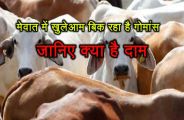 Cow Beef Selling in hotels and restaurants of mewat and alwar