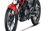 bikes