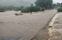 rain in rajasthan news