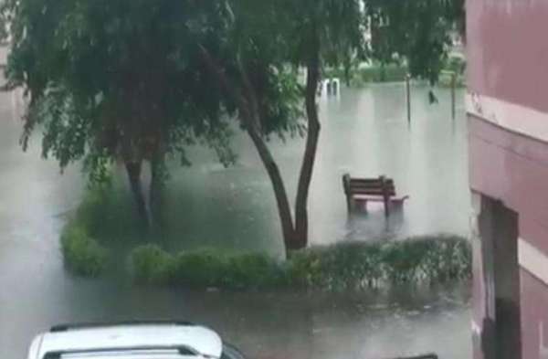 water logging in park