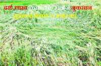 Compensation for losses in crops in bhilwara