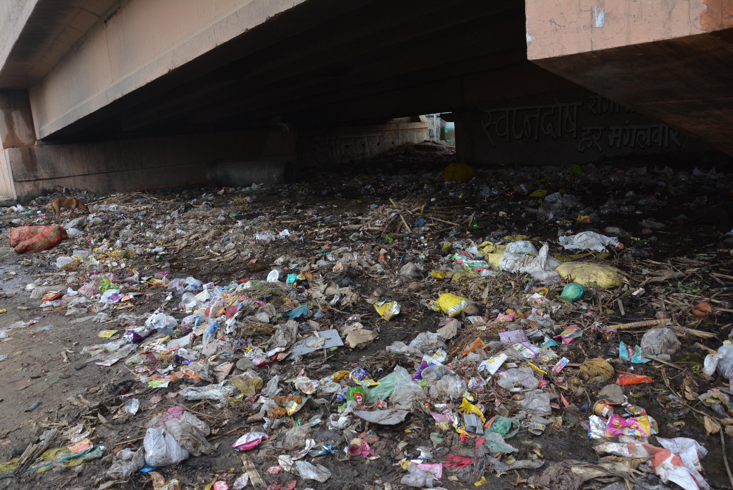 Alwar : City cleansing system fails