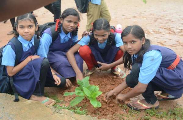Photo Gallery : शासकीय माध्यमिक शाला लाटा में रोपे गए जिंदगी की चंद सांसें, बच्चों में दिखा विशेष उत्साह