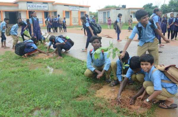 Photo Gallery : शासकीय माध्यमिक शाला लाटा में रोपे गए जिंदगी की चंद सांसें, बच्चों में दिखा विशेष उत्साह