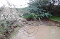 Drove hit Anikt in bhilwara