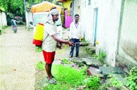 सफाई को लेकर निगम हुआ सक्रिय, इस बरसात में डेंगू न पसार सके पांव इसलिए इतनी बार दवा का छिड़काव