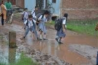 nagar nigam ward no.10 in satna