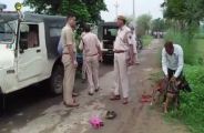 Haryana Cow smugglers smuggling in alwar rajasthan
