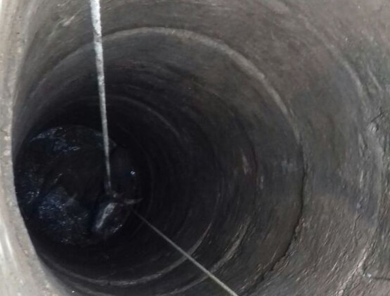 vishwa hindu parishad save bull from coupe in karauli