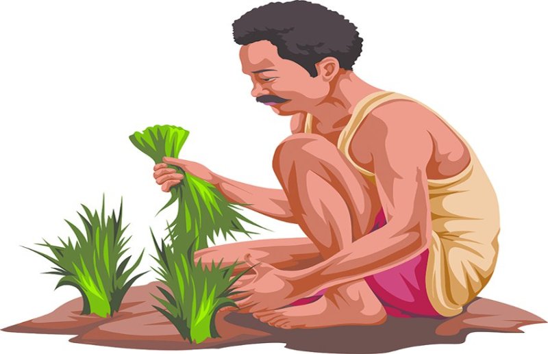 Told to the farmers Measures to protect crops