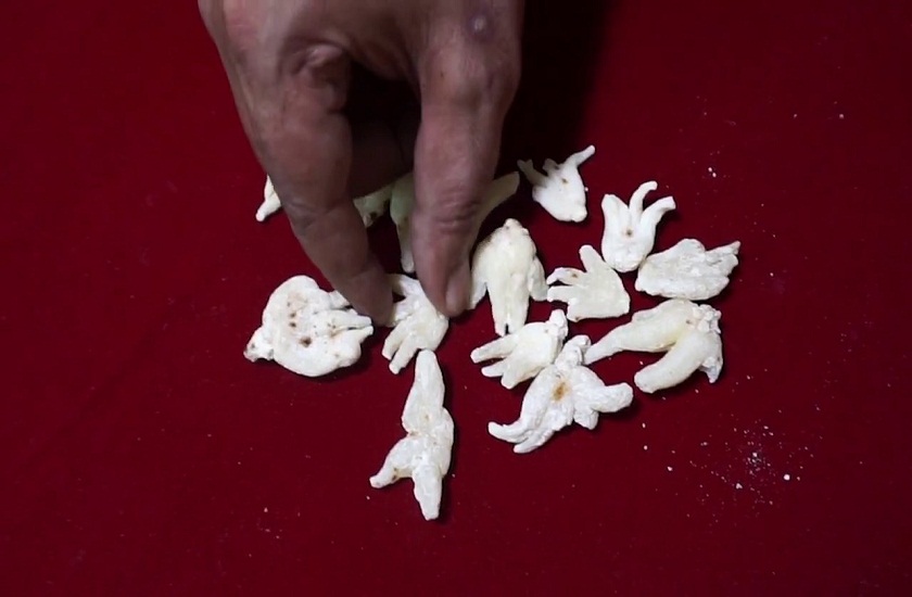 salam panja a herbal extract keep people youthful