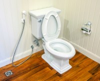 toilet