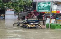 Water logging
