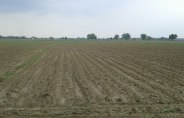 Agricultural Scientist Research effect from Weather in Rewa, also Crop