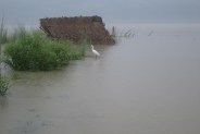 meerut