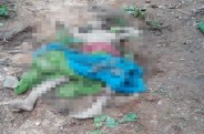 ढलती उम्र की वजह से भाग नहीं सकी महिला, कापू रेंज के दाहीडांढ की घटना