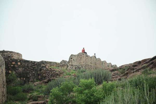 greenery after rainfall in jodhpur