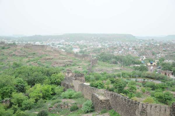greenery after rainfall in jodhpur