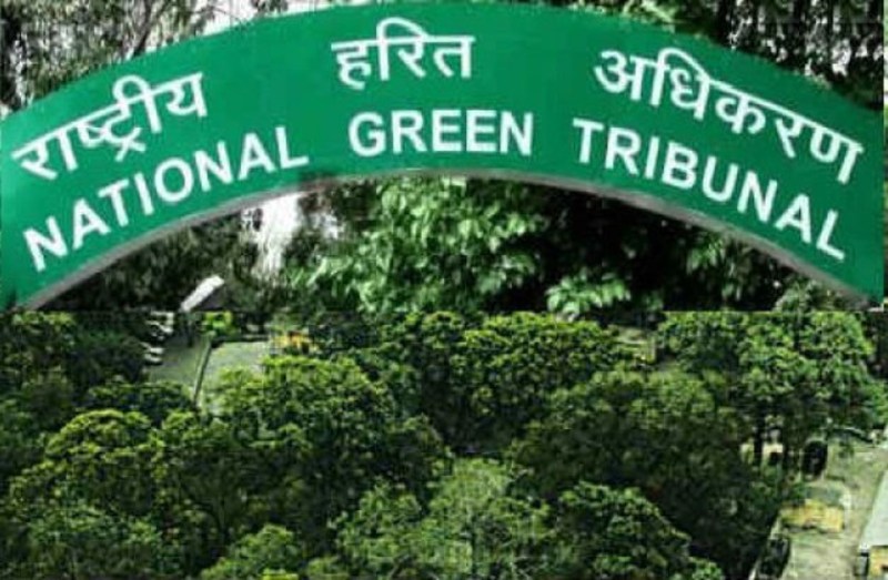 NGT Recruitment 2018