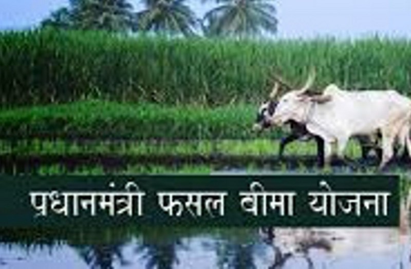Notification of PM Crop Insurance Scheme for Kharif