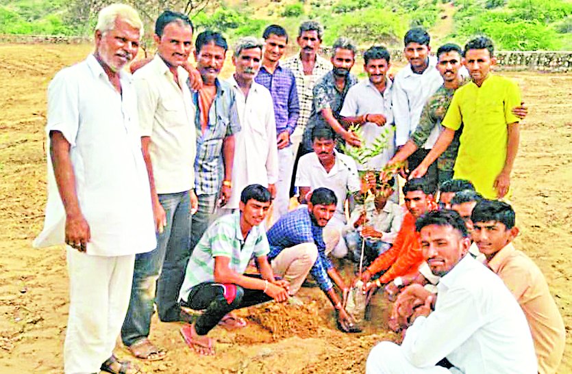 Plantation done in cremation ground