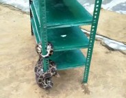 Python in school