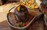 दक्षेश्वर महादेव मंदिर 