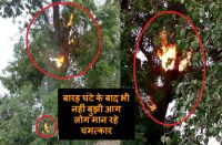 श्मशान घाट पर स्थित नीम के पेड़ से घंटों से उठ रही आग की ऊंची लपटे, लोग मान रहे चमत्कार