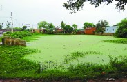 polluted water