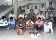 Gang member arrested