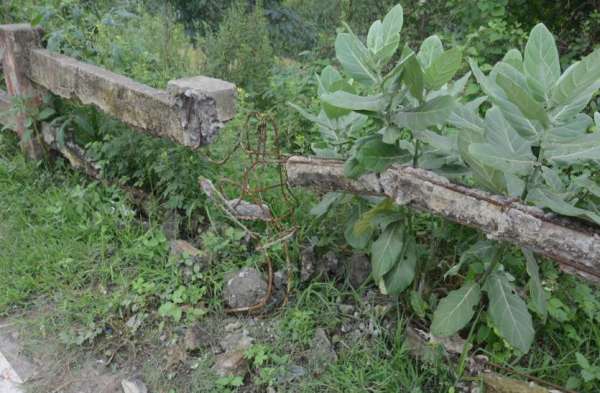 Photo Gallery : शहर की सड़कों का हाल बेहाल, टूट चुके डिवाइडर व रेलिंग से वाहन चालकों को खतरा