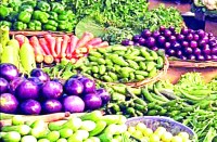 टमाटर हुआ और लाल, धनिया के साथ मिर्च भी लोगों को रूला रही, आखिर क्यों बढ़ गए दाम, पढि़ए खबर...