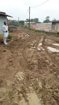 route of the sewer line made swamp