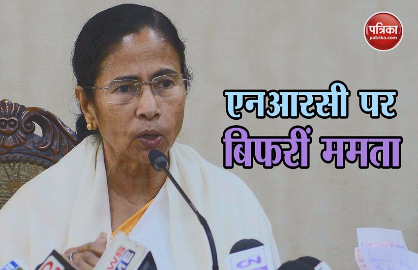 mamta