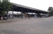 grain market 
