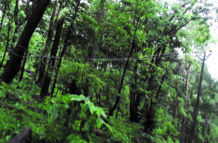 Public Opinion : इस क्षेत्र के 40 से अधिक गांवों में घंटों गुल रहती है बिजली, अंधेरे में रात गुजारने मजबूर हैं कई ग्रामीण