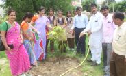 save plants