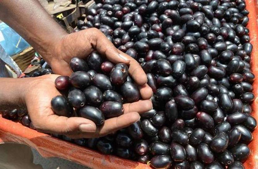 black berries work in Sanjivani for bp and stroke patients